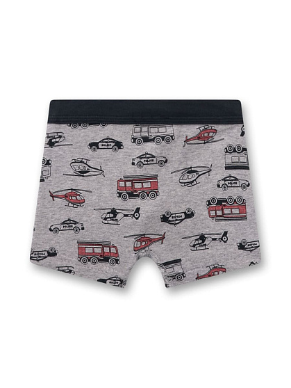 Труси-боксери, Grey Style