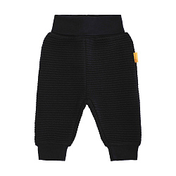 Штани, Year of the Teddy bear