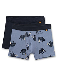 Трусы-шорты, 2шт