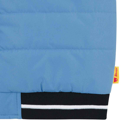 Жилет, Leo Club