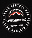 Штаны, Basic Sprayground