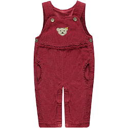 Штани з нагрудником, My little bird