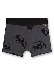 Труси-шорти, Bear Труси-шорти, Bear