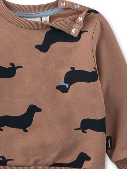 Світшот, Dachshund Світшот, Dachshund