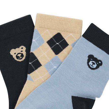 Носки, Dinosaur Special Day