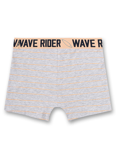 Трусы-шорты, Wave Rider