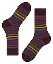 Шкарпетки, Tinted Stripe