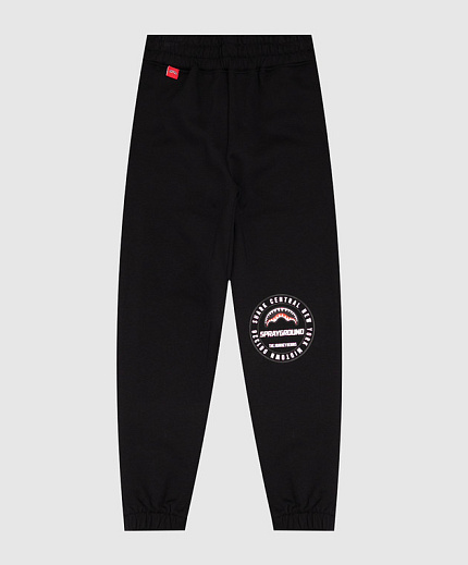 Штаны, Basic Sprayground