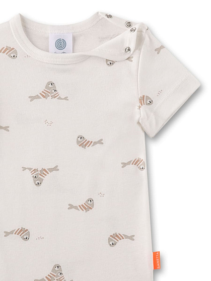 Боді, Small fish, 1/2