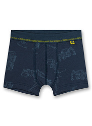 Труси-шорти, Building Труси-шорти, Building