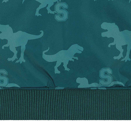 Куртка двостороння, Dinosaur