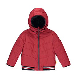 Куртка, Bear to School