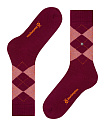Шкарпетки, Lurex Marylebone