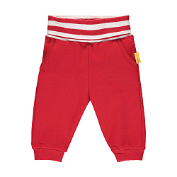 Штаны, Bear to School