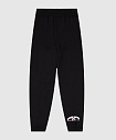 Штаны, Basic Sprayground