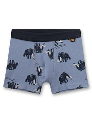 Трусы-шорты