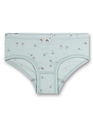 Труси-сліпи, Shiny dragonfly Труси-сліпи, Shiny dragonfly