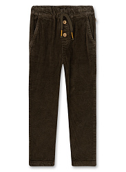 Штани, Pure Штани, Pure