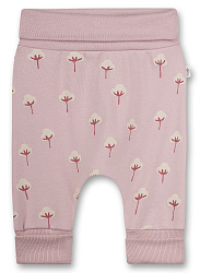 Штани, Pure Штани, Pure