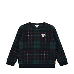 Світшот флісовий, Celebration