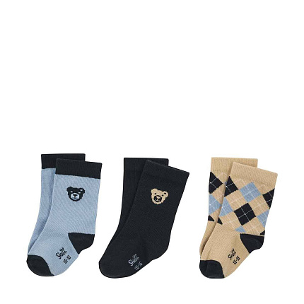 Шкарпетки, Dinosaur Special Day