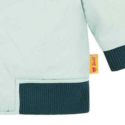 Куртка двостороння, Dinosaur