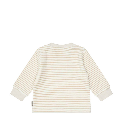 Набір світшот і штани, Basic